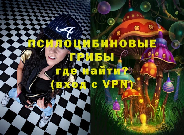ешки Абинск