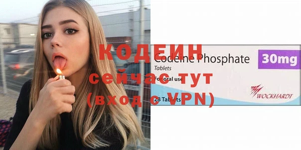 прущие грибы Пересвет