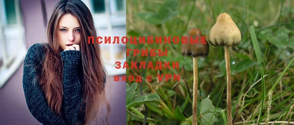 ПСИЛОЦИБИНОВЫЕ ГРИБЫ Алзамай